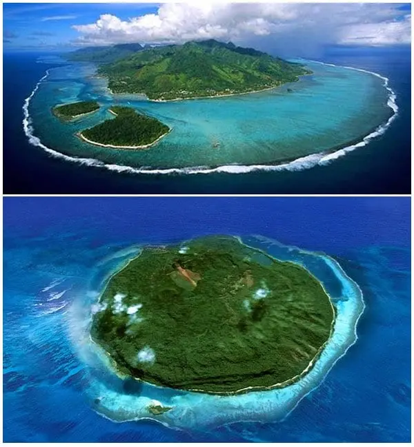 Mel-gibson-island