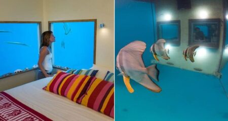 Underwater Hotel