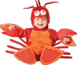 baby lobster costume