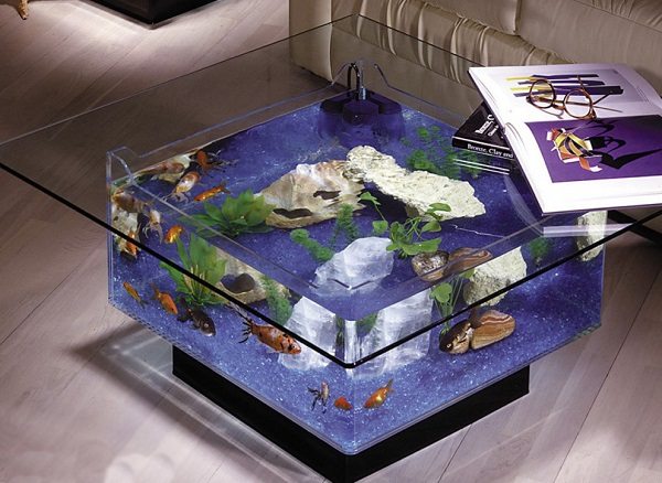 coffee table aquarium