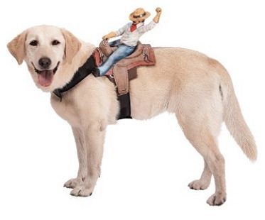 cowboy rider pet costume