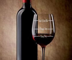 don't even ask wine glass