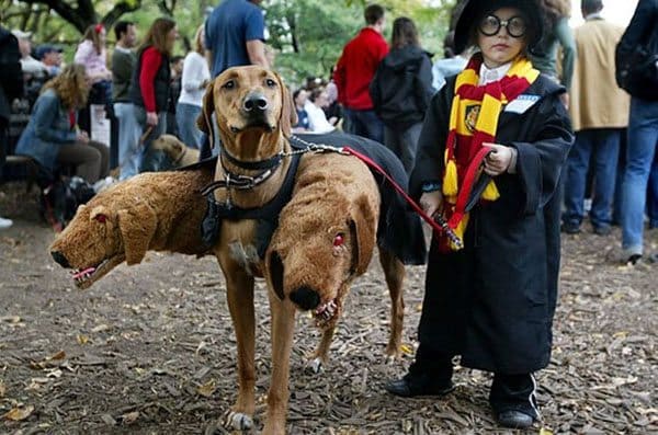 harry potter costume