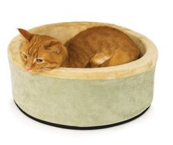 heated cat bed