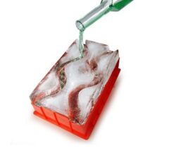 ice luge mold