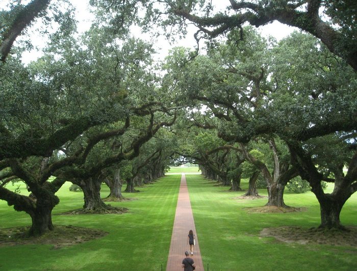 oak alley, louisiana