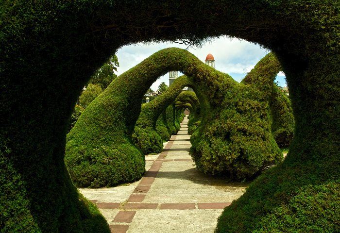 parque francisco, costa rica