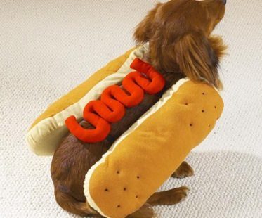pet hot dog costume