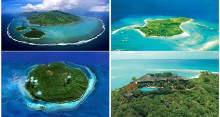 private islands