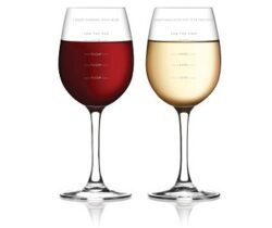 sauce measuring wine glass