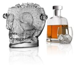 skull ice bucket