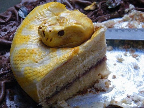snake cakes