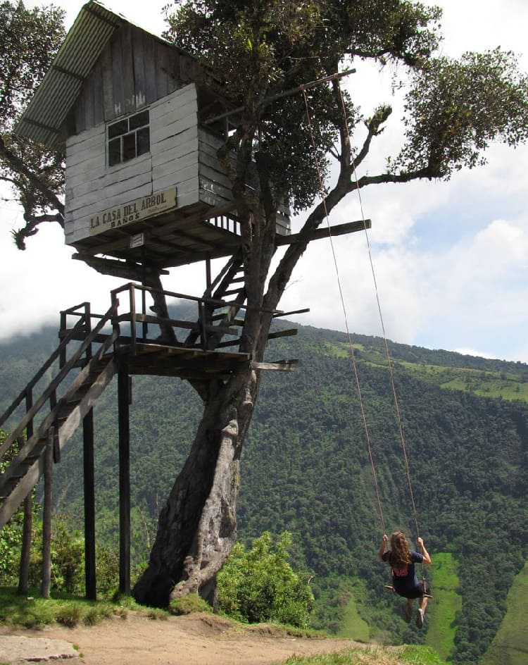 swing tree house