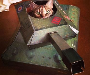 tank cat playhouse