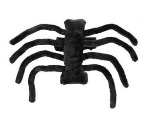tarantula dog costume plain