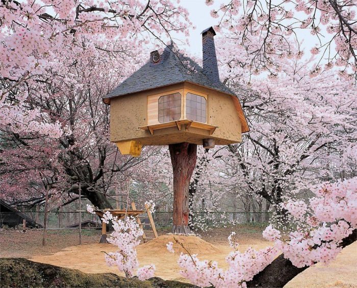 teahouse tetsu treehouse japan