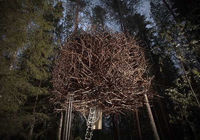 the birds nest treehouse