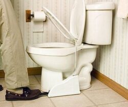 toilet seat lifter