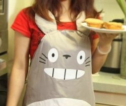 totoro apron