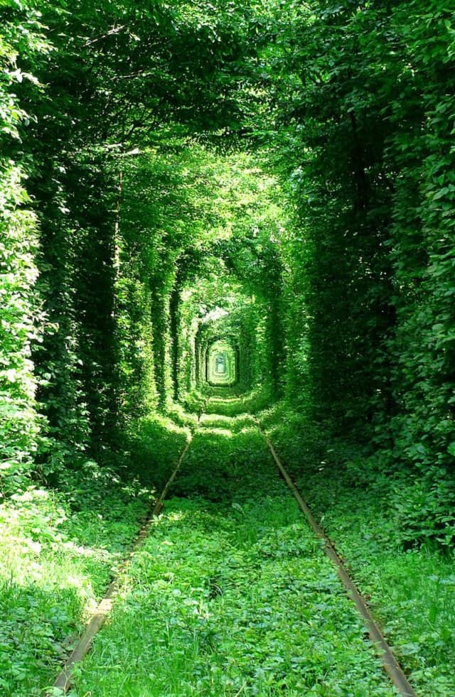 tunnel of love