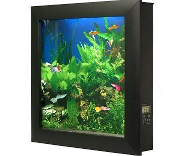 wall-mounted aquarium
