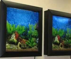 wall-mounted aquarium wall