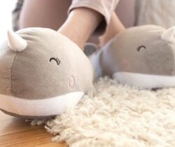 whale heated slippers