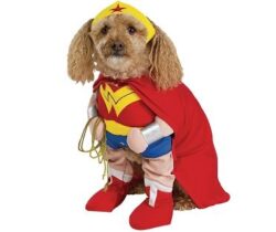 wonder woman pet costume