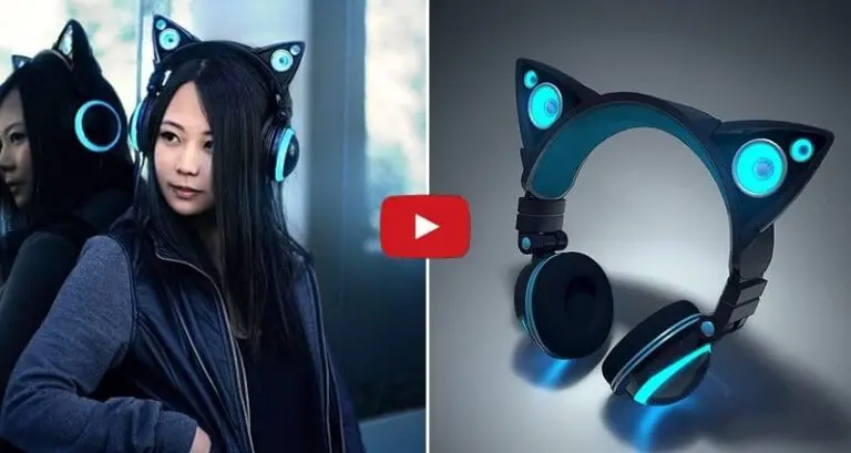 Cat ear-headphones