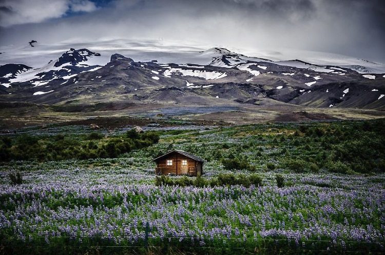 Icelandic Mountain Meadow Retreat