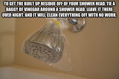 clean shower head