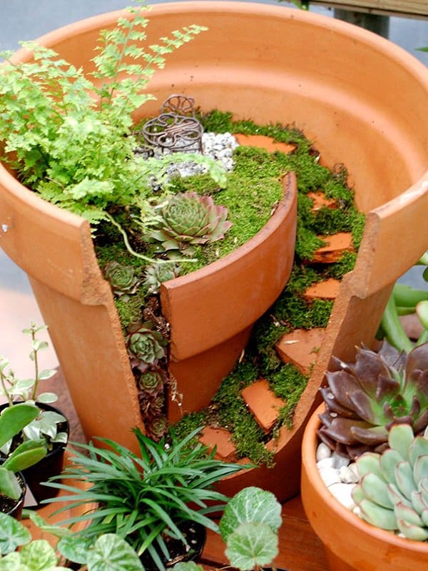 diy fairy garden moss steps