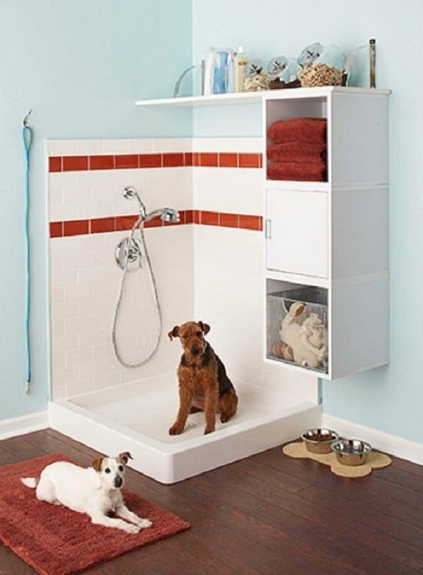 dog shower area