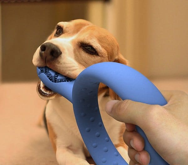 dog teeth cleaning toy