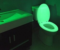 glow in the dark toilet seat