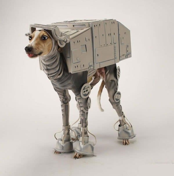 pet-halloween-costume-20