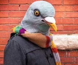 pigeon head mask costume