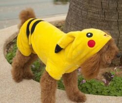 pikachu pet costume