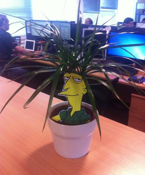 simpsons plant