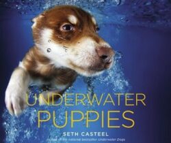 underwater puppies photo book