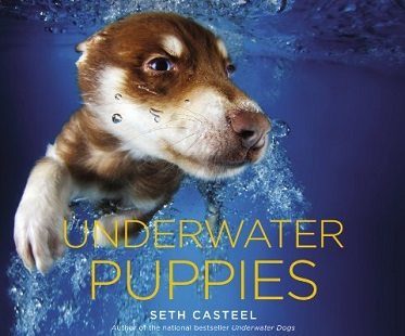 underwater puppies photo book