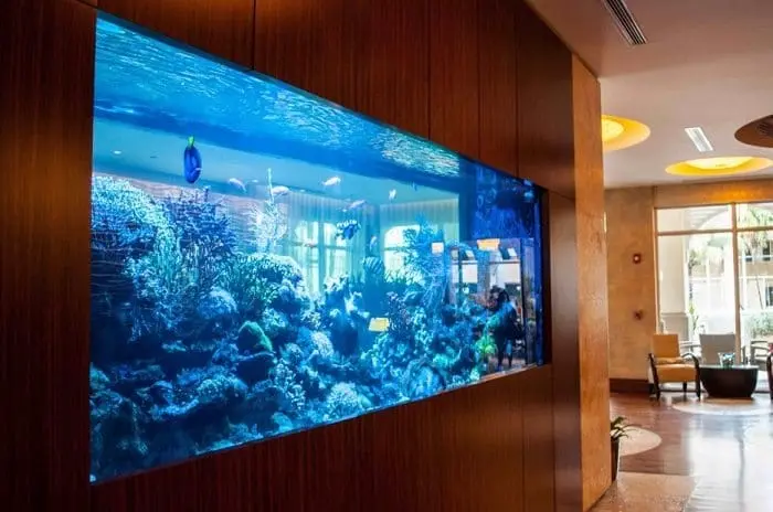 aquarium feature wall