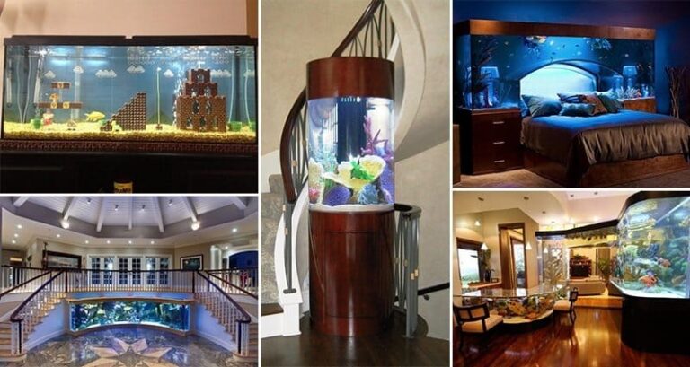 awesome aquariums