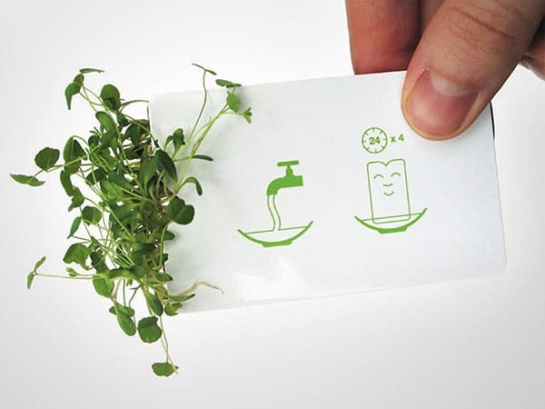 creative-business-cards-seed packet