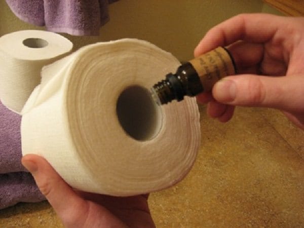 essential oil on toilet roll