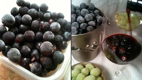 frozen grapes wine