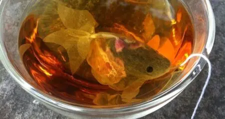 goldfish tea bags