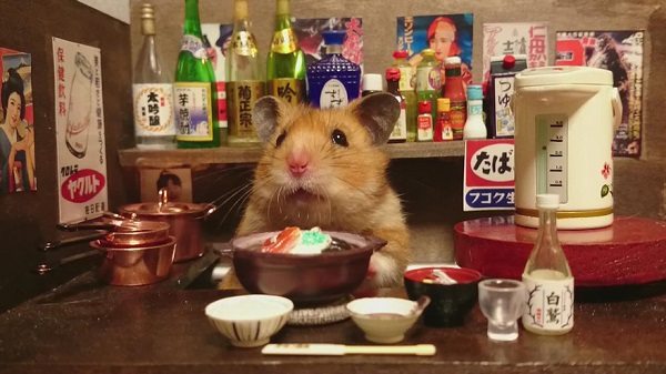 Adorable hamster bartender