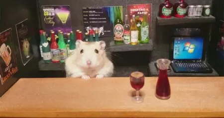 hamster bartender