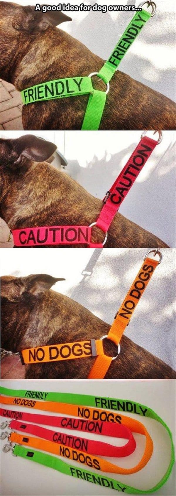 labelled dog leash